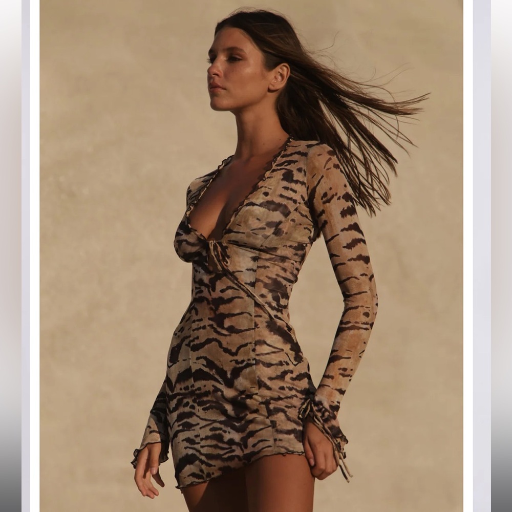 Sloane Mini dress in Zara 🐅